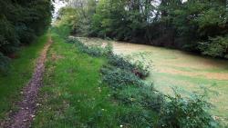 Single au bord de la rigole