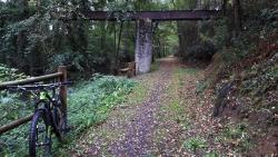 Au bord de la Rigole de l'Arroux