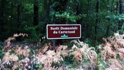Forêt Domaniale du Carterand