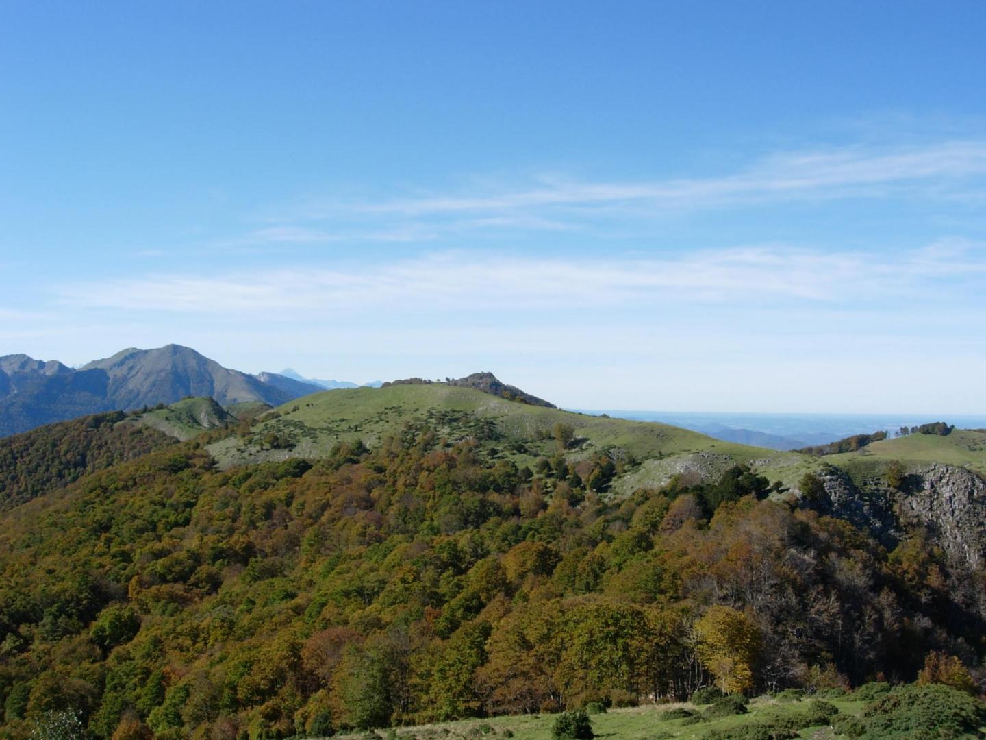 Les ronces d'Arbas