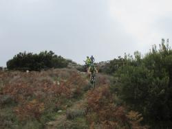 VTT-17632