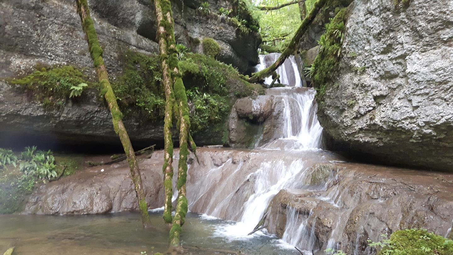 De Maîche au Dessoubre en passant par le Faux Verger