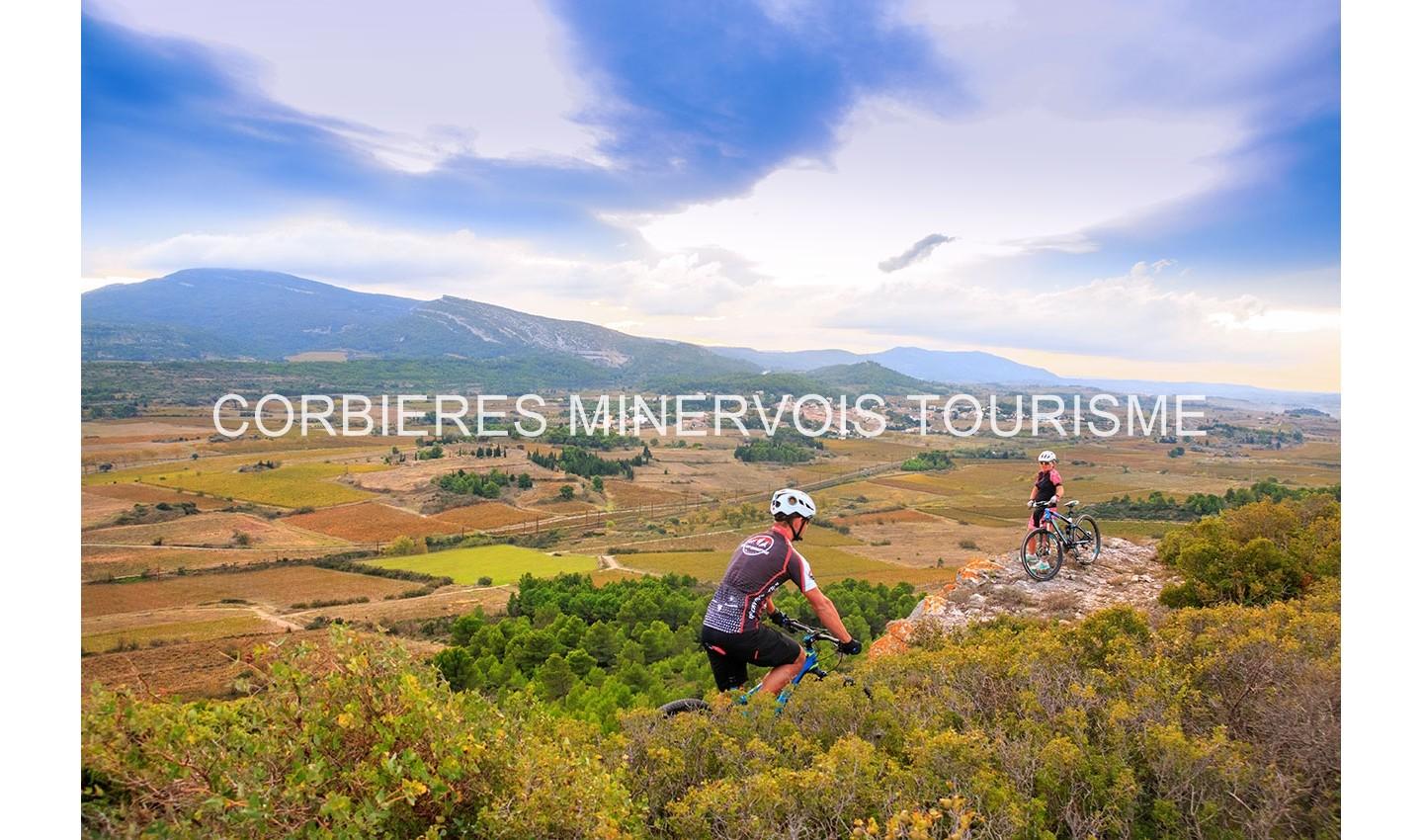 Espace VTT-FFC Corbières - Minervois - Circuit N° 16  : Sous le Mont Alaric, le Renard veille