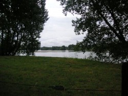 La Loire à partir du chemin à hauteur de Ménétréol