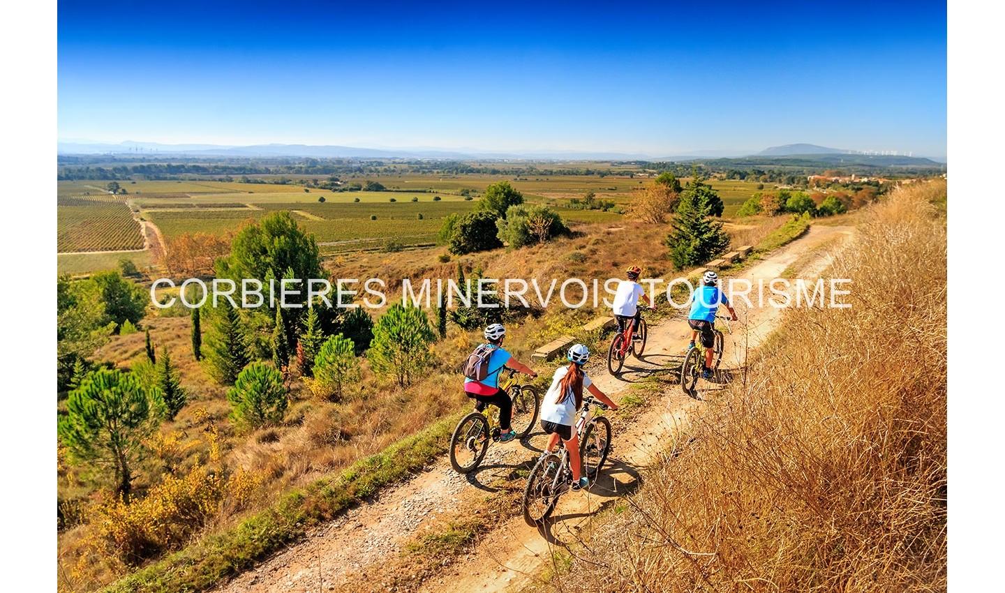 Espace VTT-FFC Corbières - Minervois - Circuit N° 21 : Le Pays du Renard