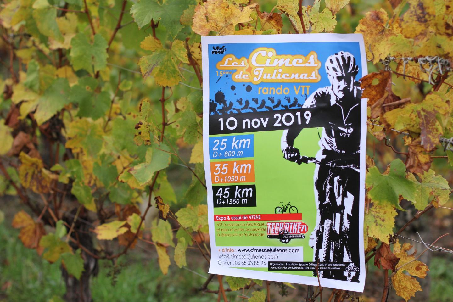 Les Cimes de Juliénas 2019 - 15ème édition - 36 km