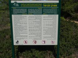 VTT-17775