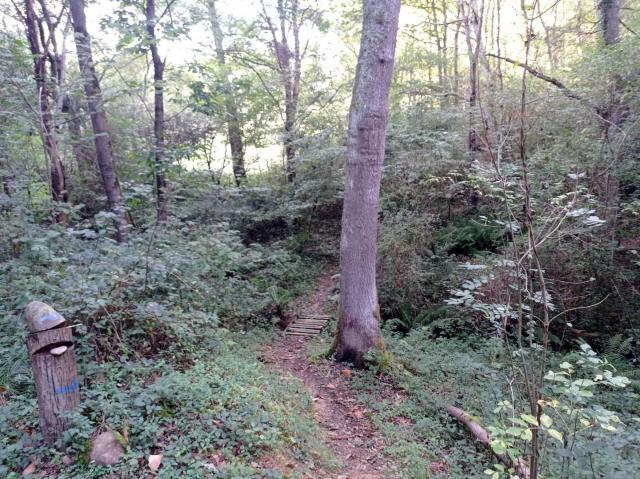 [HauteGaronne] Rando VTT Franquevielle Singletracks bien cachés