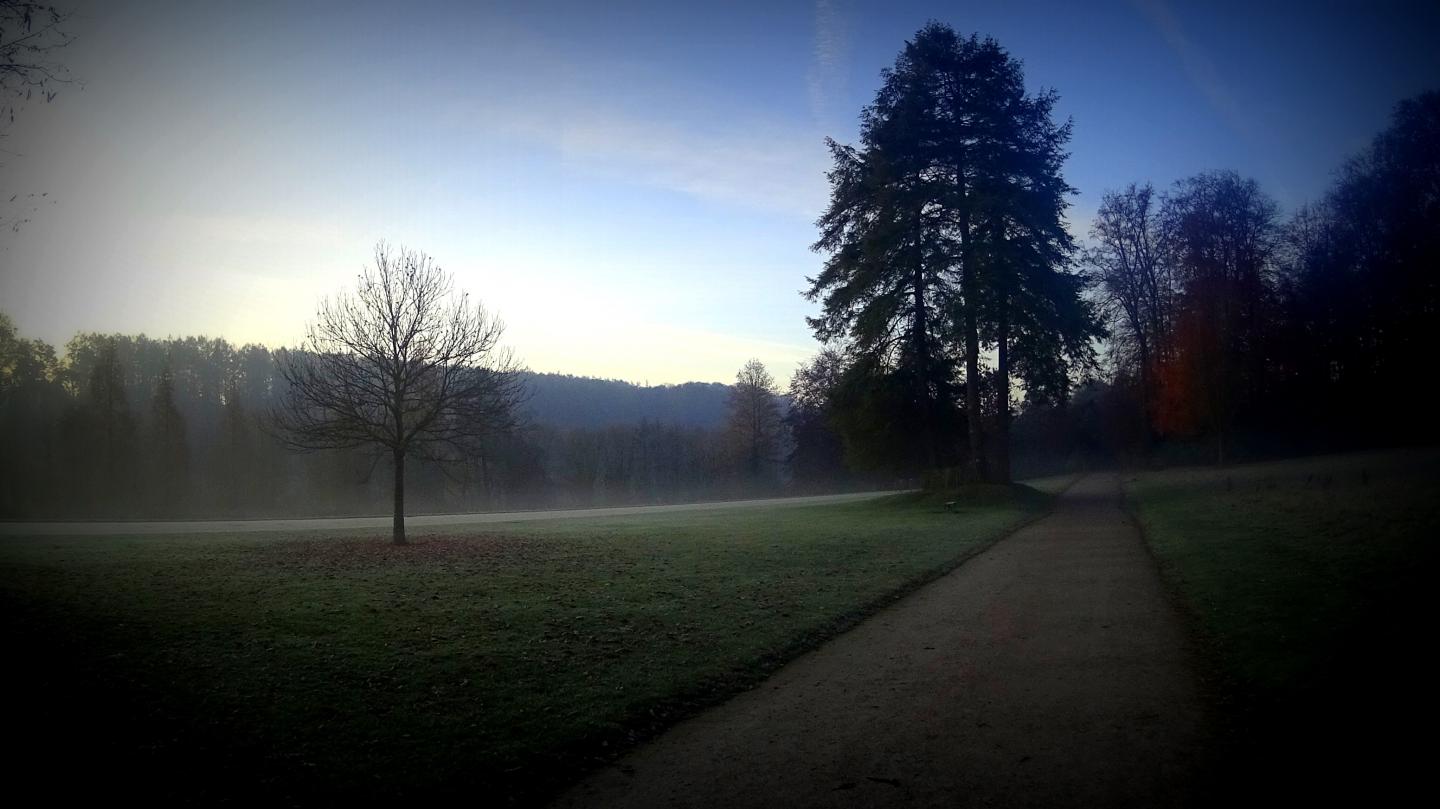 Entre la Hulpe et la forêt de Soignes