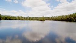 Parc de la Biodiversité, étang de Bas-en-Basset, crédit photo 43 média