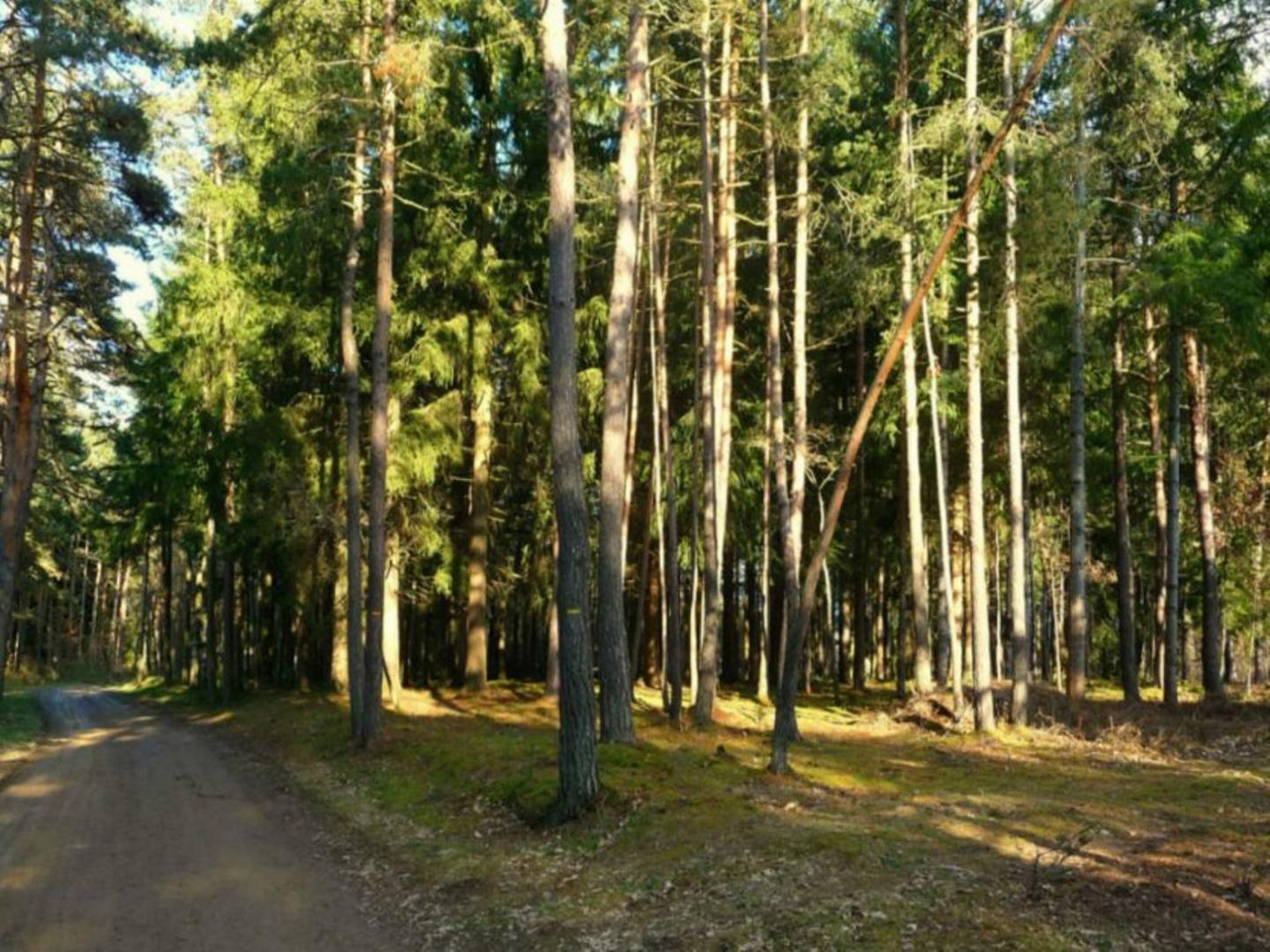 Beauzac - Circuit N° 23 : Lous Pinatous