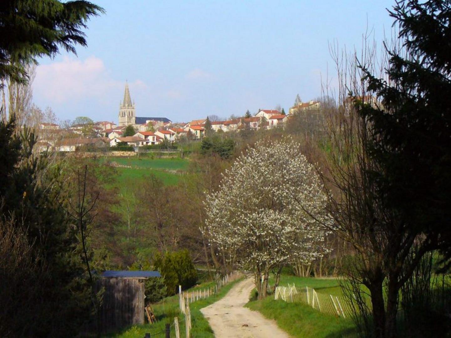 Sainte-Sigolène - Circuit N° 31 : La Roche de l'Ane