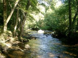 Gorges e la Dunières - ©OTMVR