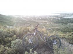 VTT-17887