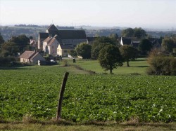 Ancinnes aperçu de la forêt de Perseigne