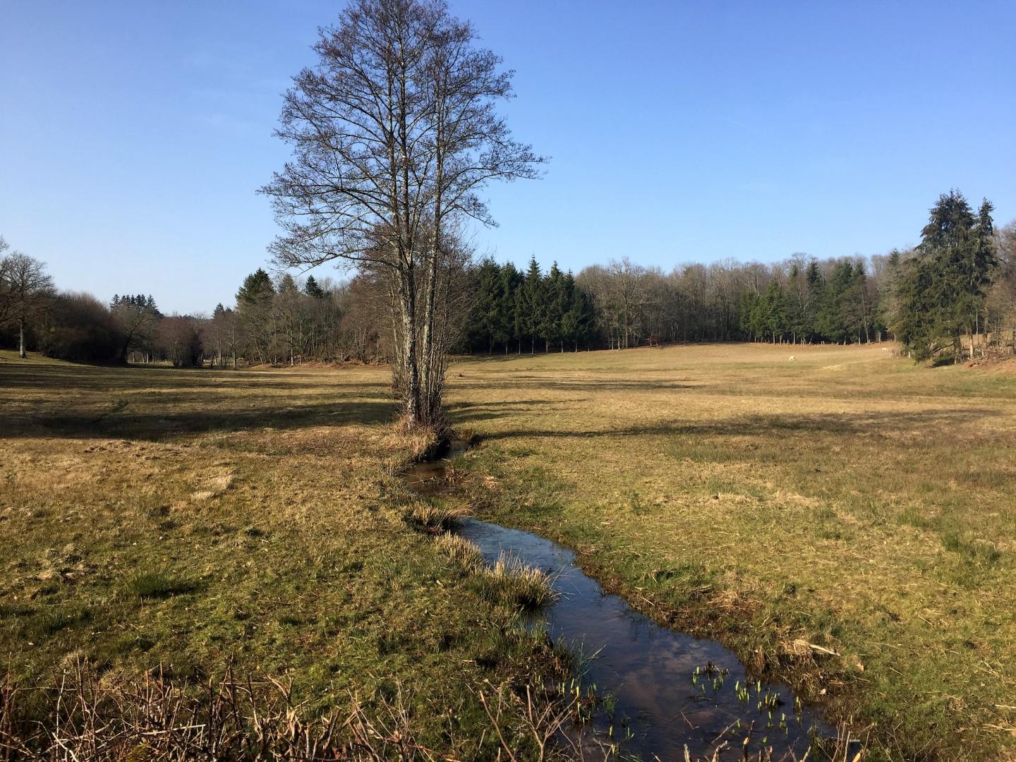 Espace VTT-FFC des Monts de Blond - Circuit n° 3: Les buissières