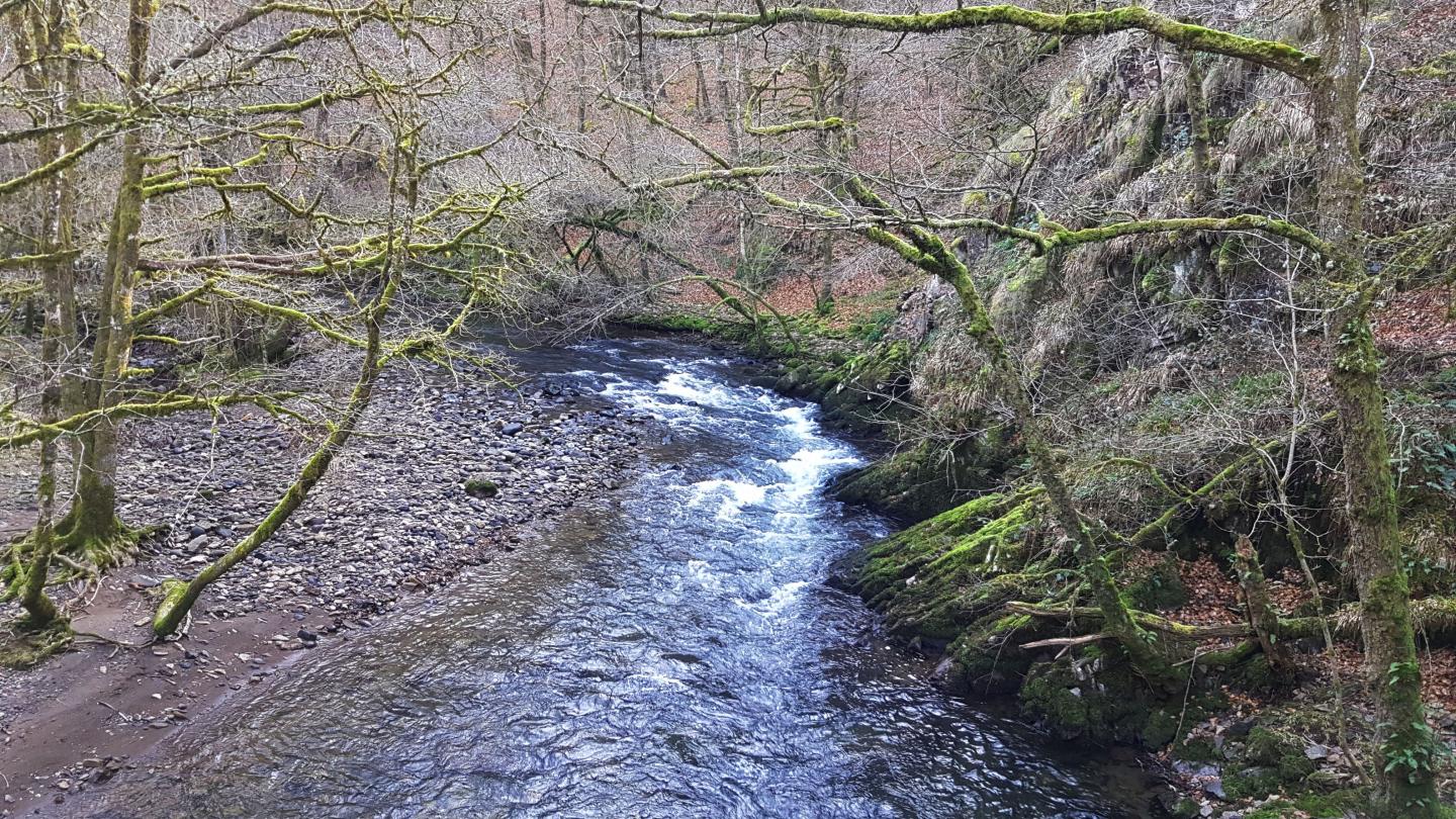 Gorges de la Maronne