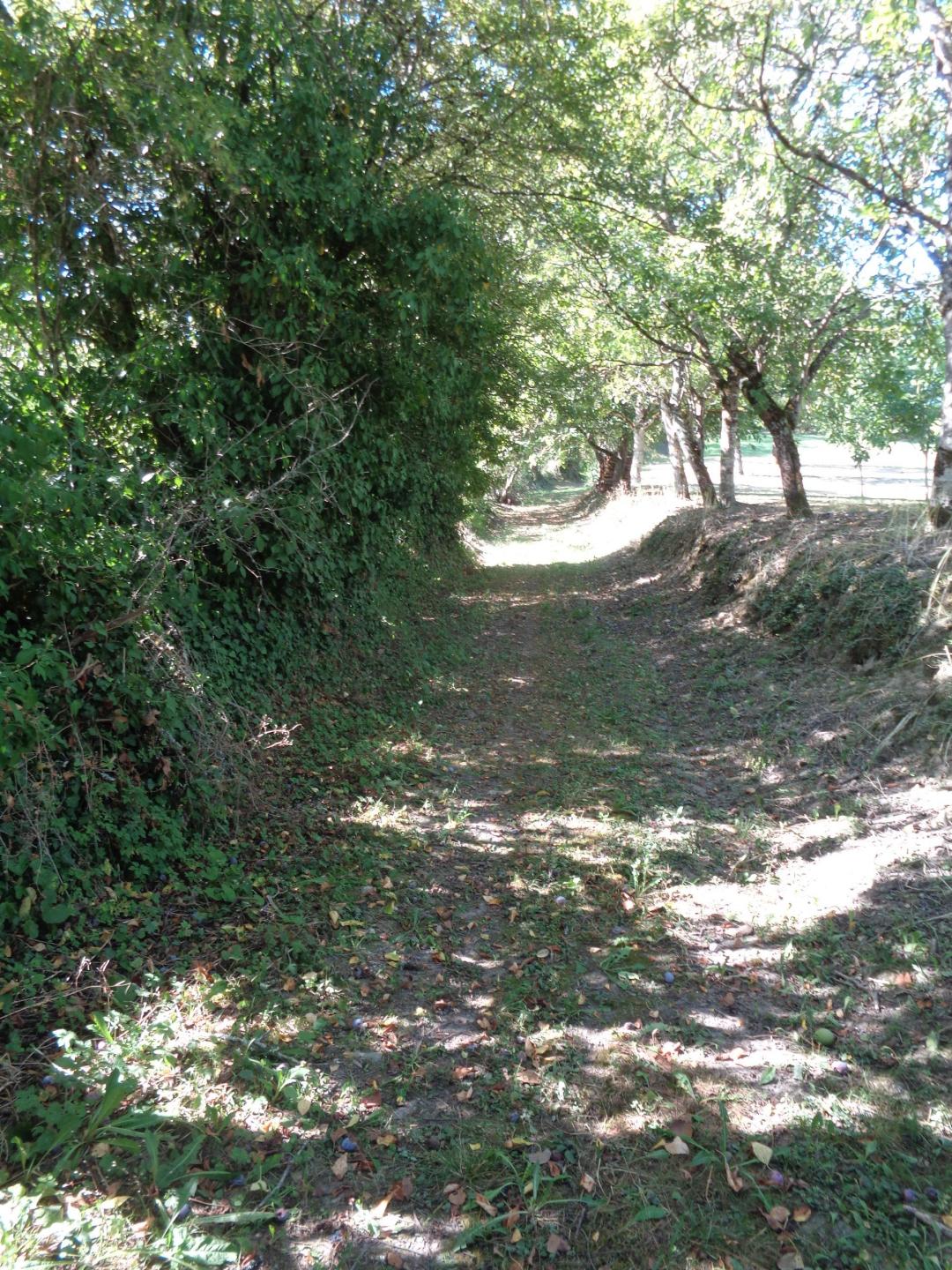 Base VTT du Midi Corrézien : Circuit n°12 : Entre Maumont et Sourdoire