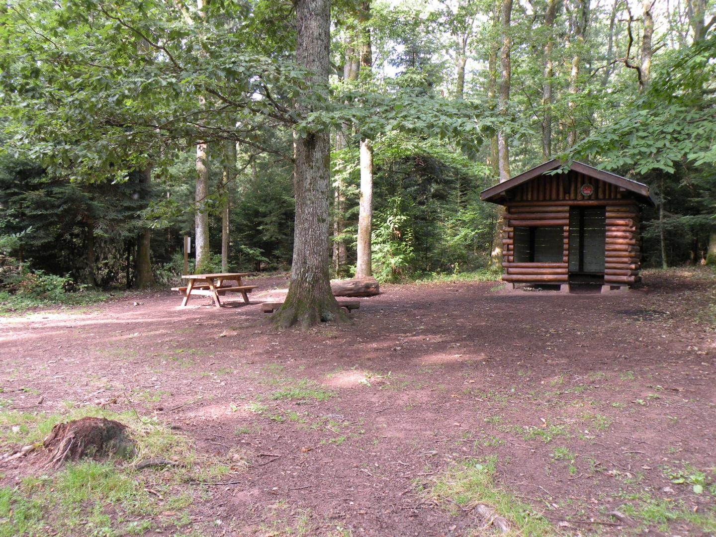 Espace VTT-FFC Région de Guebwiller - Circuit n°14 - Le Kohlschlag