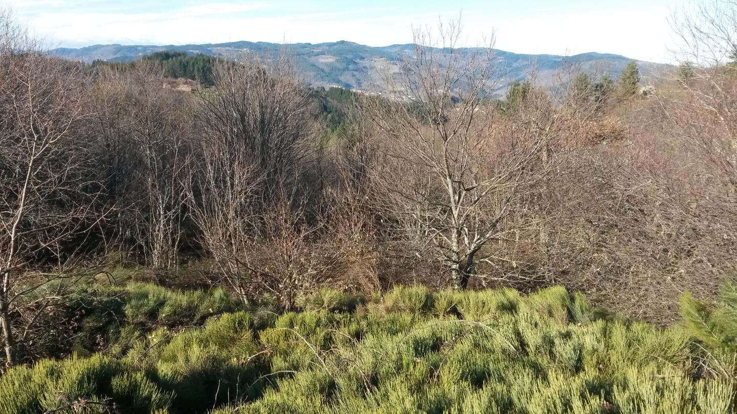 La Chèze - Les Liotards - Burianne - Pailles - Le Bouchet