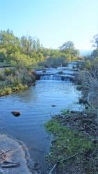 Petit cours d'eau