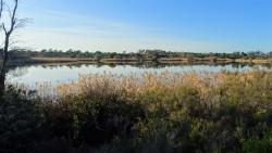 Lac des Escarcets