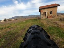 Loge de vignes