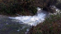 Ruisseau de Font Bidon au gué de Mont Favier