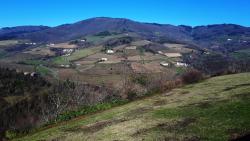 Derrière le Château Saint Jean, paysage du Beaujolais