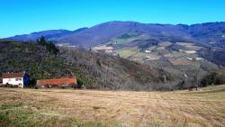 Paysage du Beaujolais