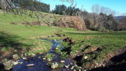 Ruisseau sur le circuit