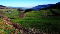 Paysage du Beaujolais