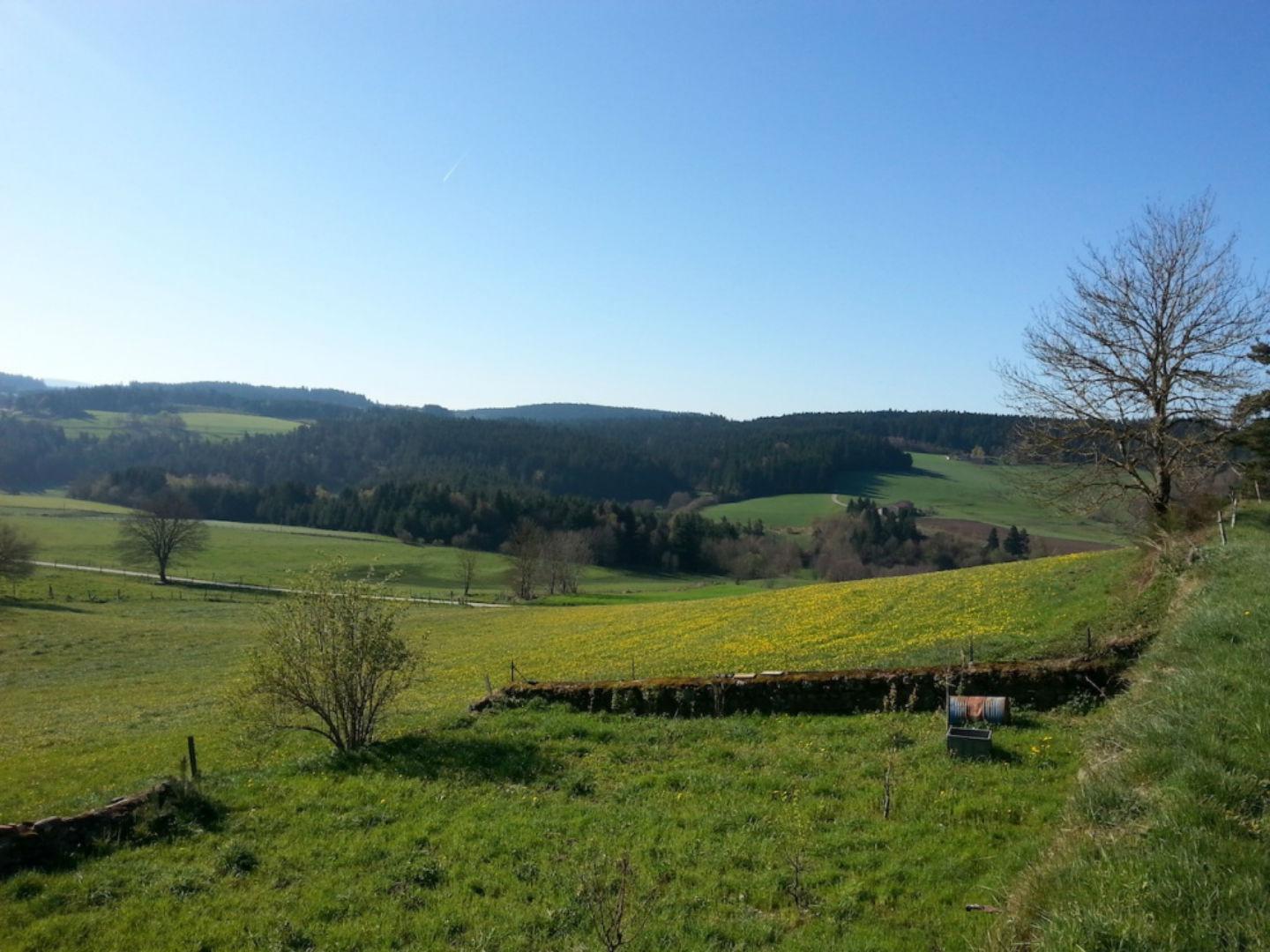 Saint-Romain-Lachalm - Le Gournier