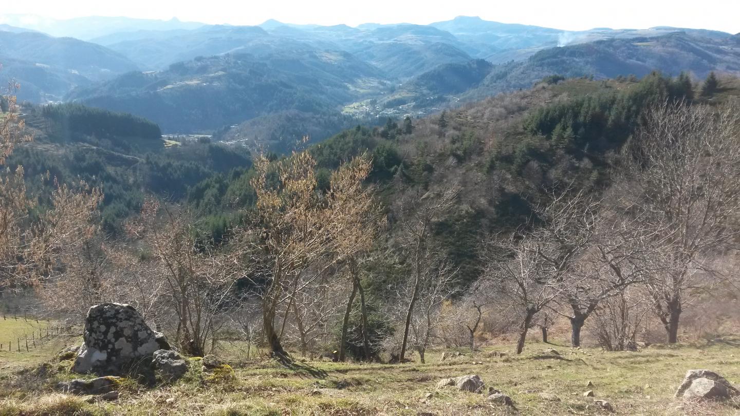 Serre de Leyrau - Mortevieille - La Romane