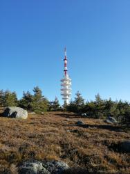 VTT-18508