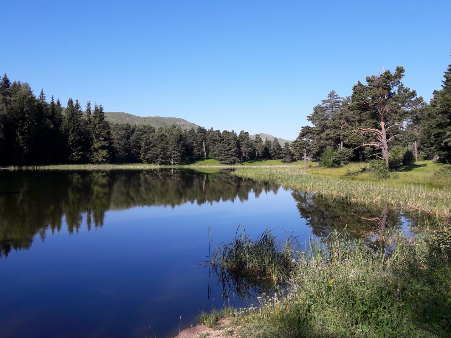 Le Forest - Col de Clapouse