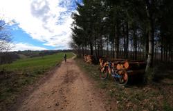 Piste forestière roulante
