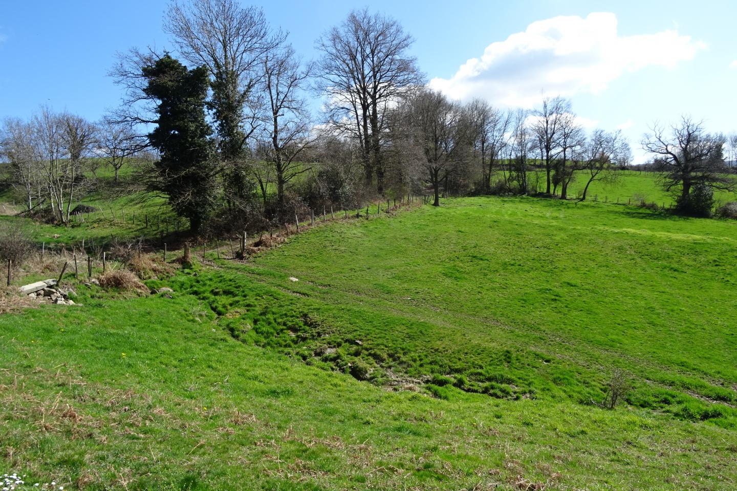 Entre Veauche et Grammond