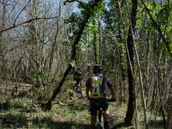 VTT-18704