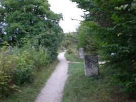 En passant par  le parc de St Cloud
