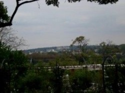 vue sur le bois de Meudon