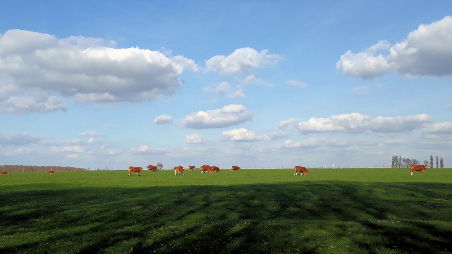 Sur les chemins agricoles du Vexin