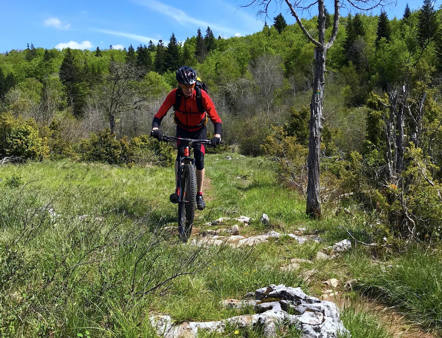 Base VTT-FFCT Royans-Vercors - Circuit N° 4 : La Montagne de l'Echarasson