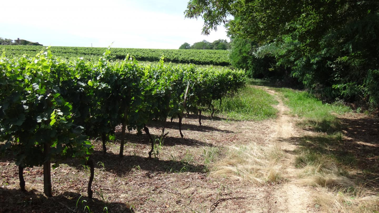 Sentier Capian