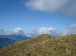 Montagnes russes...