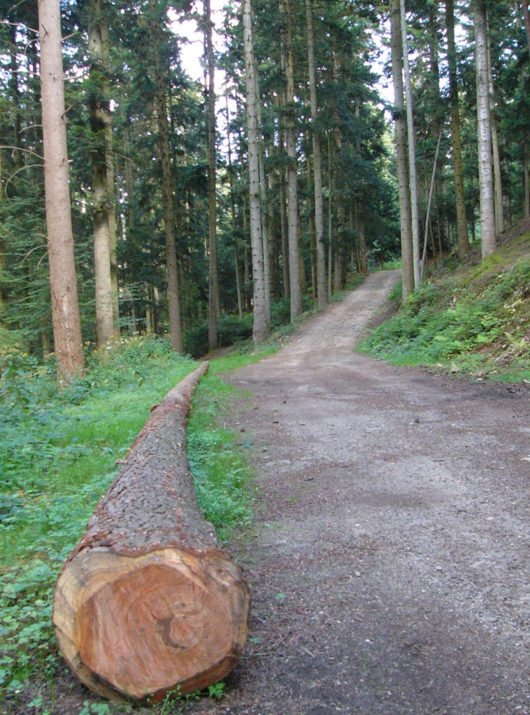 Parc du Pilat - Circuit N° 5 : Bourdouse