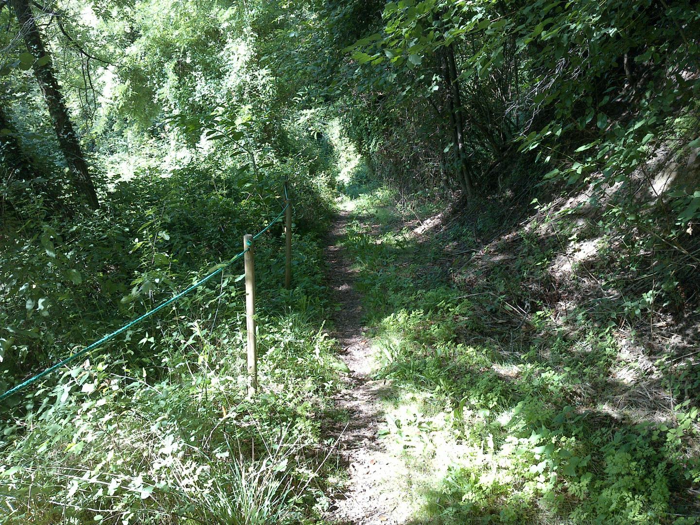 Beaulac - Un chemin dans l'oubli