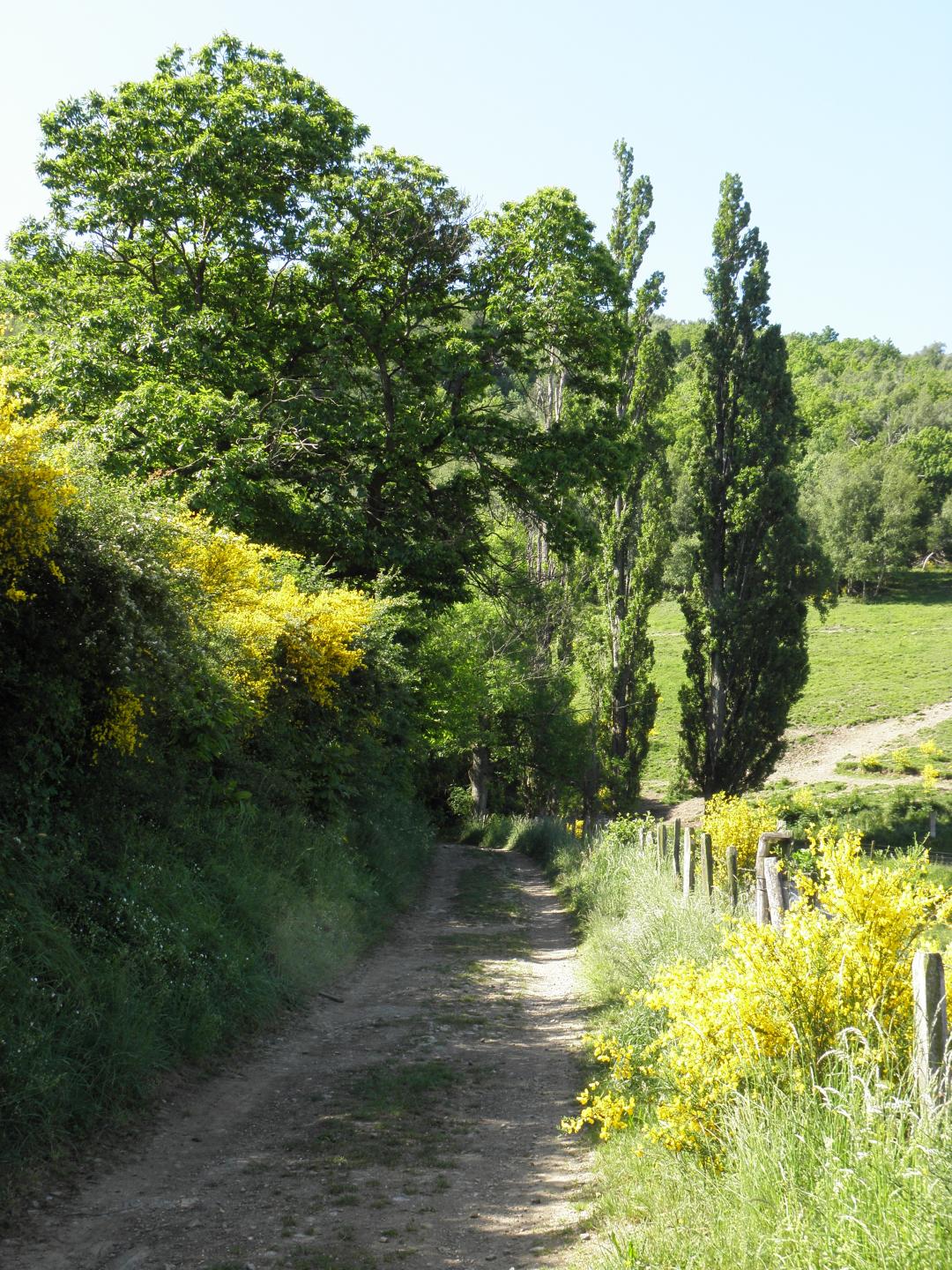Parc du Pilat - Circuit N°19 : Col de Grenouze