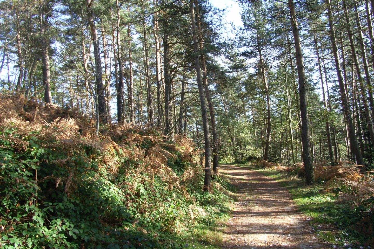 Parc du Pilat - Circuit N°26 : La Croix de Garry