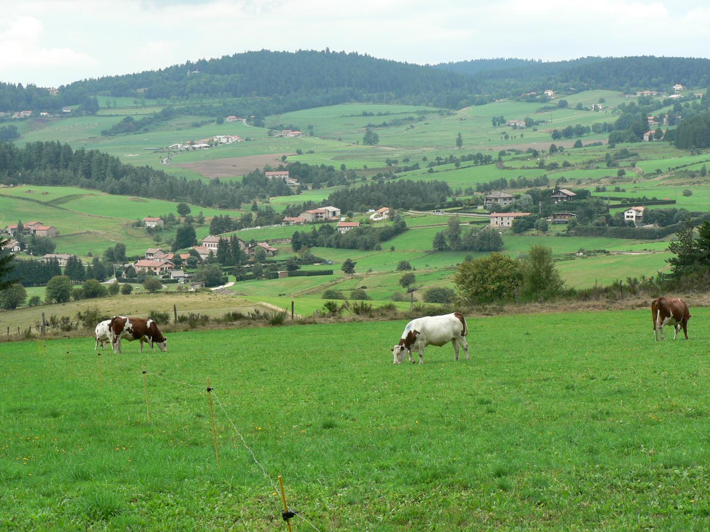 Parc du Pilat - Circuit N°28 : La Croix du Trève